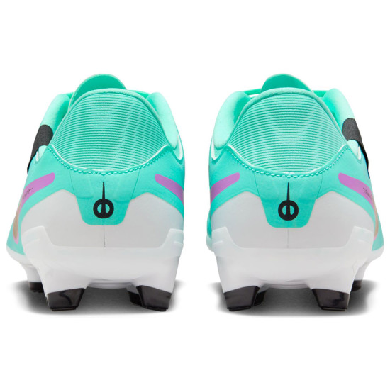Nike Legend 10 Academy FG/MG
